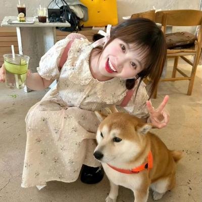 盗爱之家